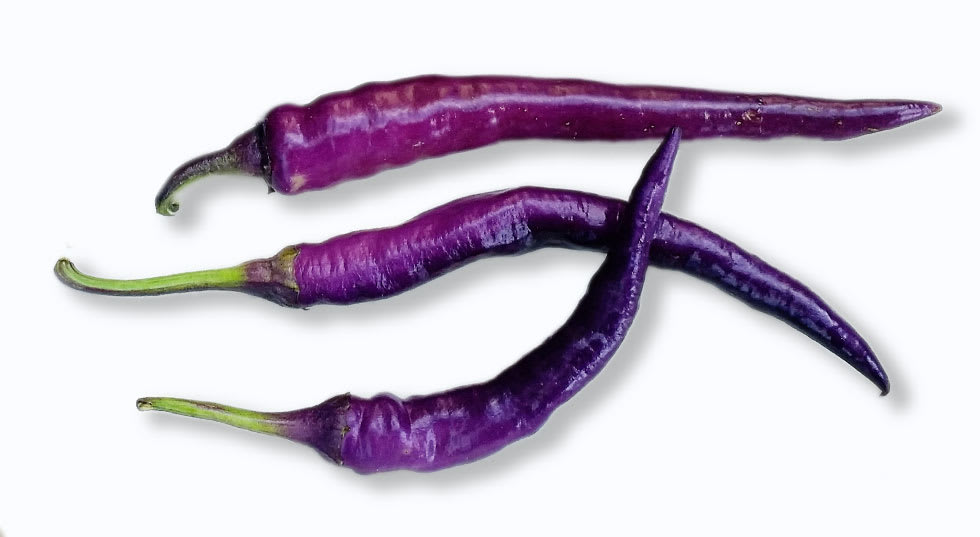 link to purchase Buena Mulata seeds