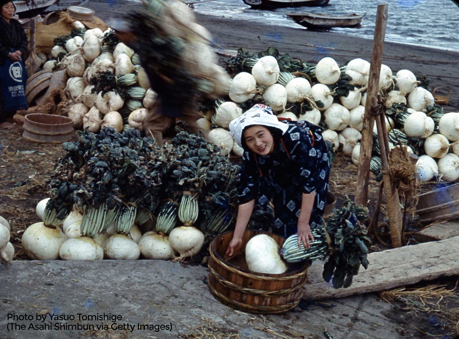 Traditionally dressed Japanese woman puts a basketball-sized white radish with greens attached into a basket in front of several large piles of giant radishes on a beach with water and small boats in background