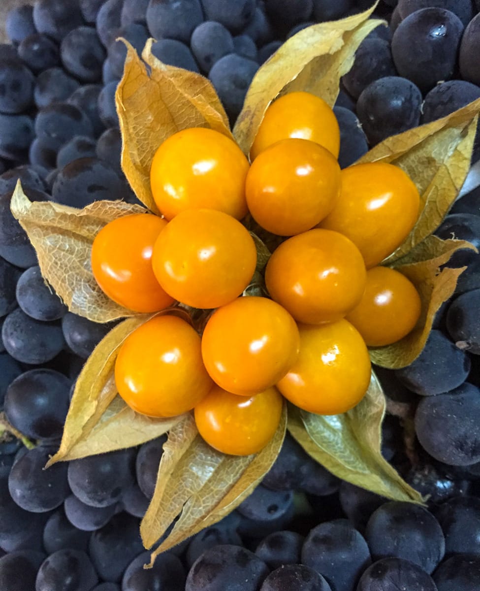 image shows a dozen small orange fruits arranged in a double circle surrounded by papery leaves, atop a pile of dark purple berries or grapes