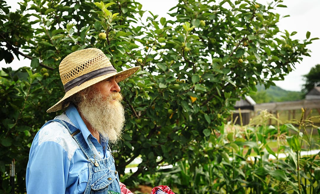 Dave sits in front of a fruit tree in the Baker Creek restaurant garden