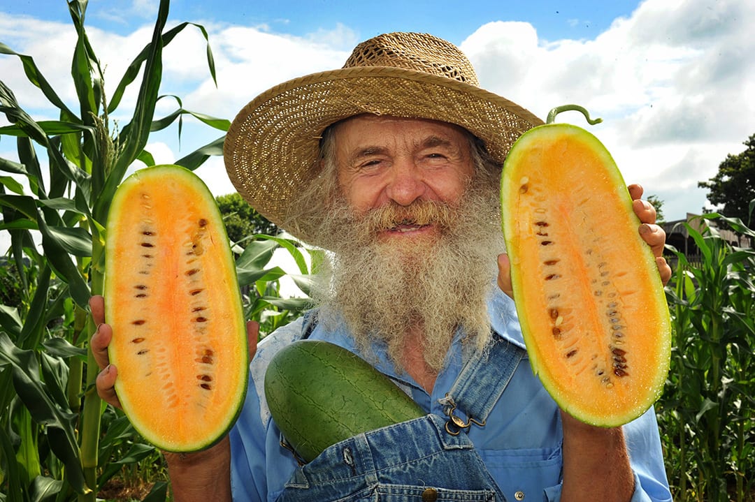 Dave Kaiser stands in a cornfield with half an orange watermelon in each hand and another small watermelon tucked into the top of his bib overalls