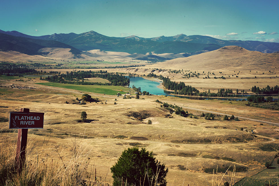 Panoramic view of Wild Plum Farm in Dixon, Montana, showcasing expansive green fields and a peaceful rural landscape.