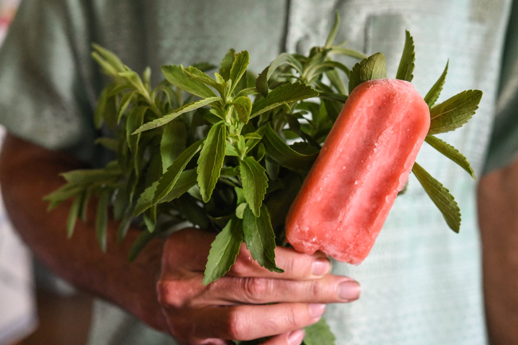A person holding stevia leaves with an ice cream in his hand.