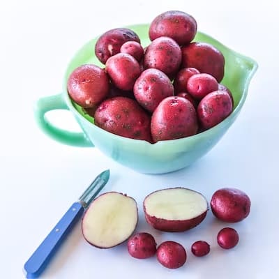 Sangre Potatoes with microtubers in foreground 
