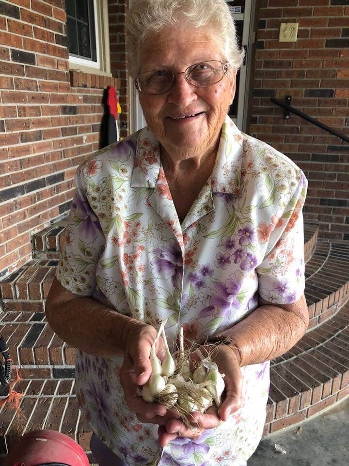 Shirley Hammond and multiplier onions