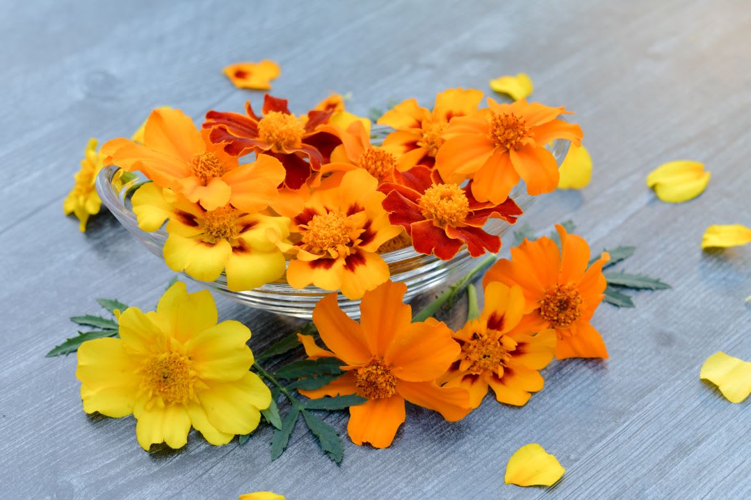 Bright yellow and orange marigold blossoms in a clear glass bowl.