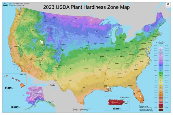 Colorful map shows the latest revision of the USDA's hardiness zones