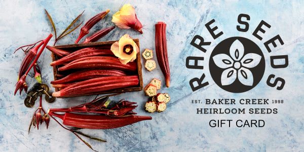 Gift Guide 2024: The Giving Season Has Arrived | Baker Creek Heirloom Seeds