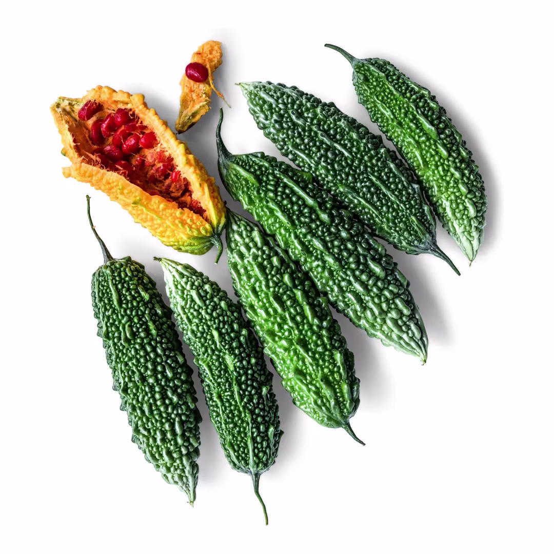 Bitter Melon