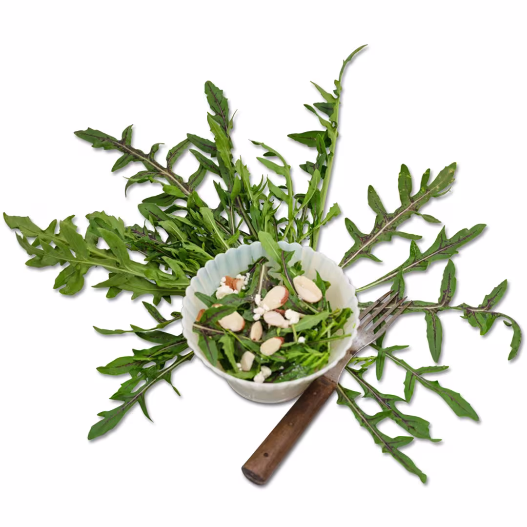 Arugula