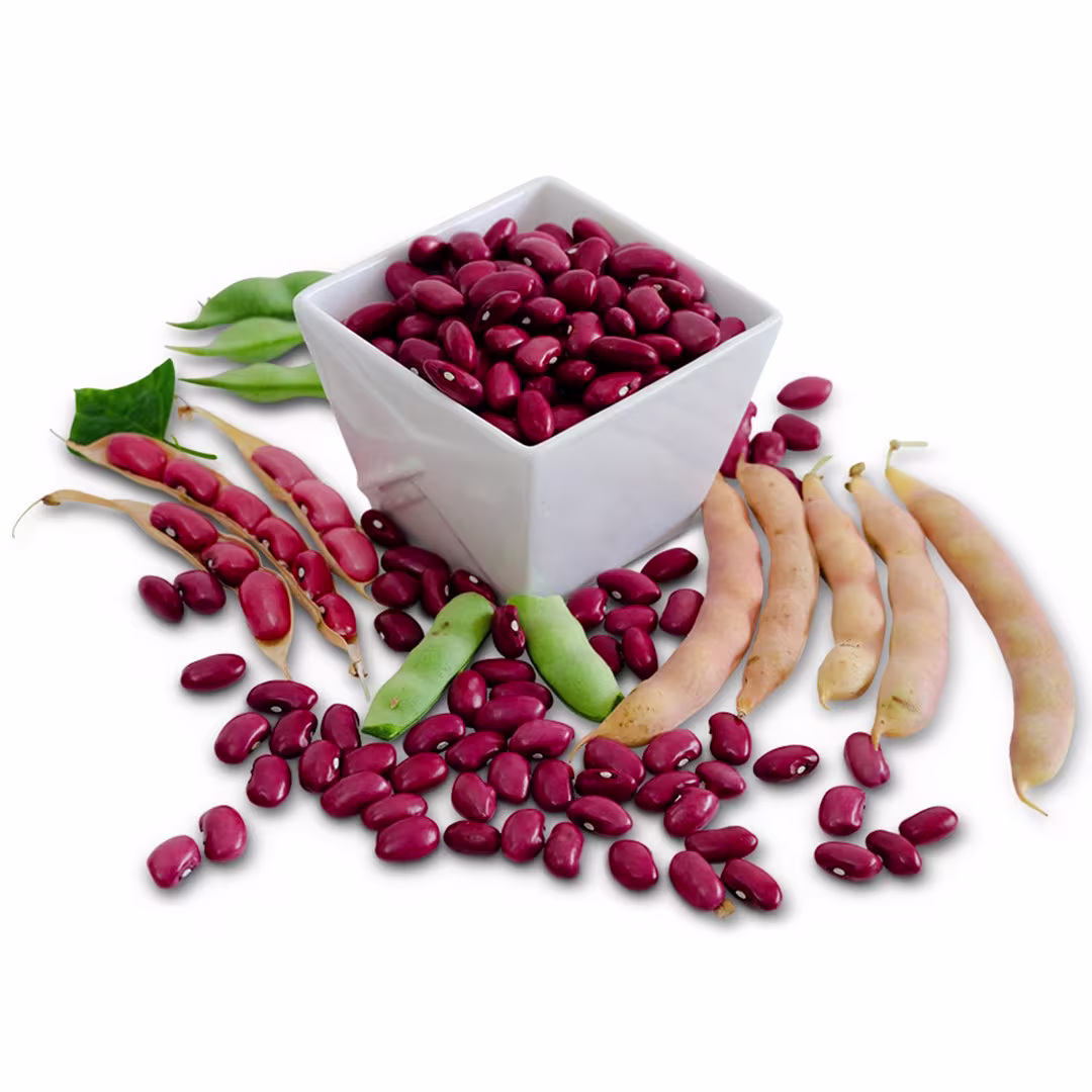 Pole Beans
