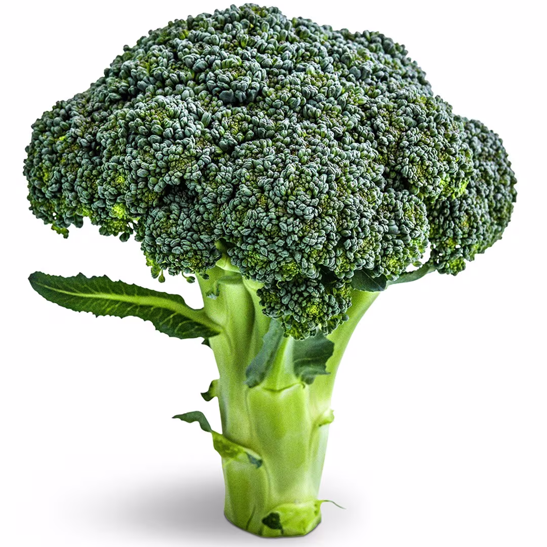 Broccoli