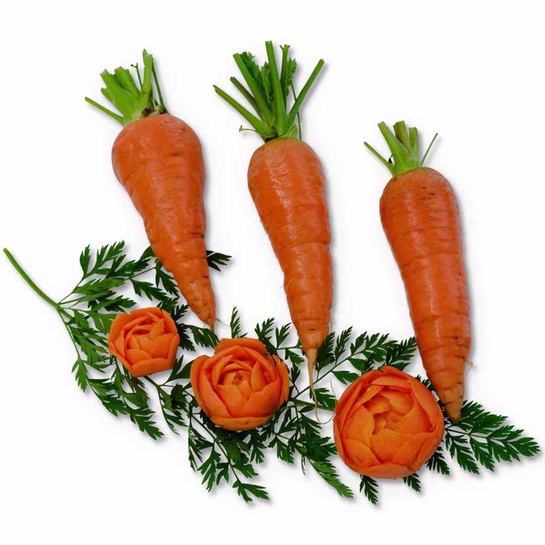 Carrot