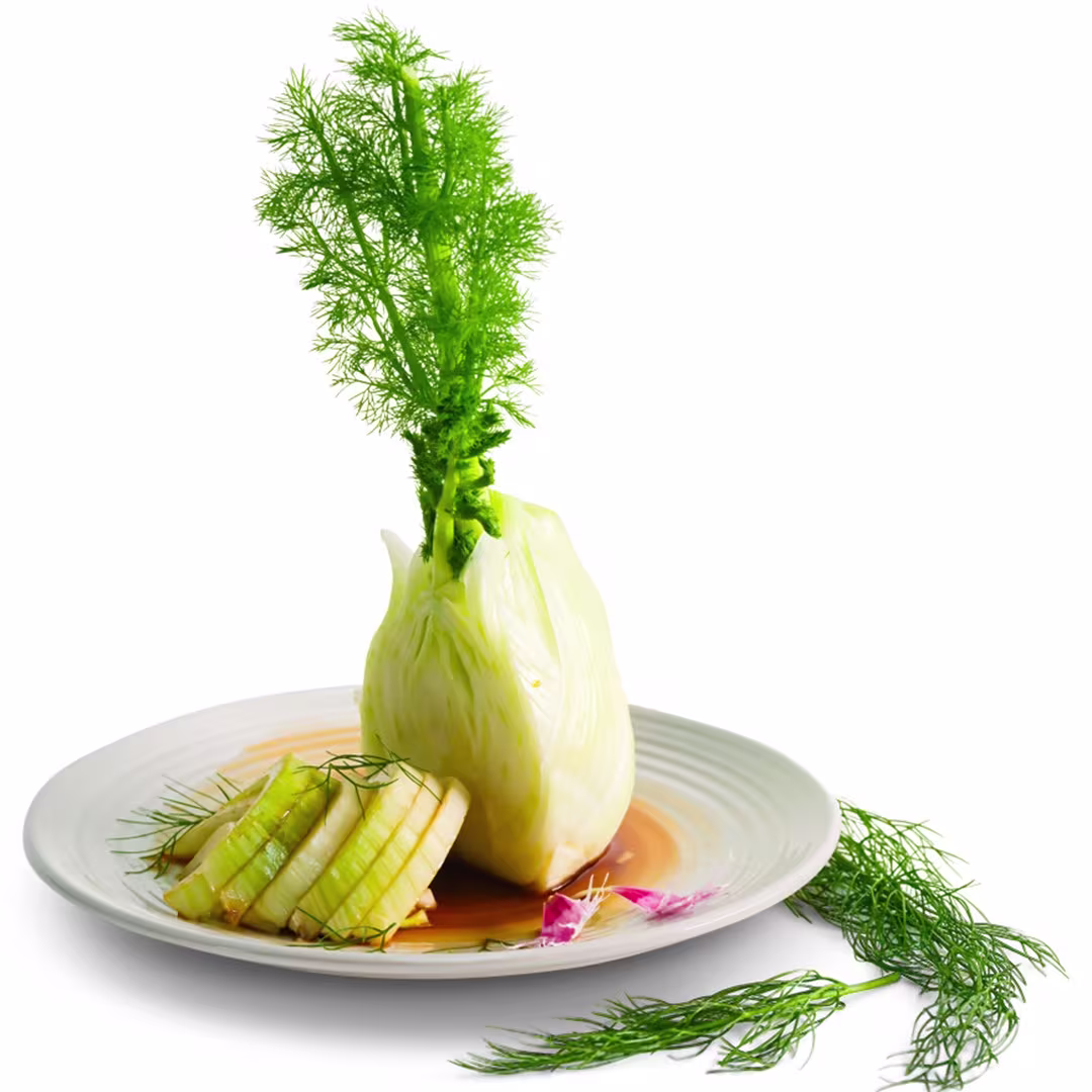 Fennel