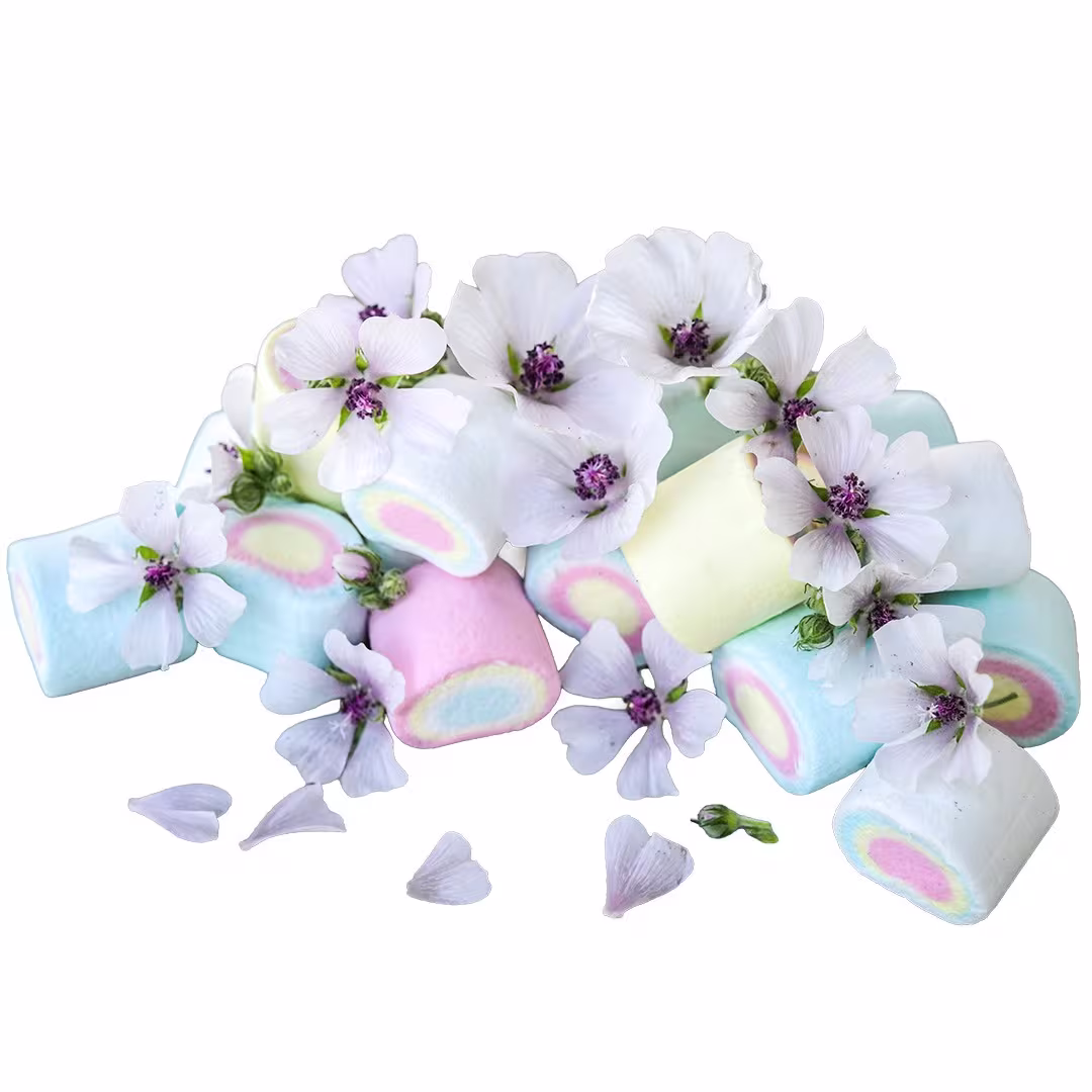 Marshmallow