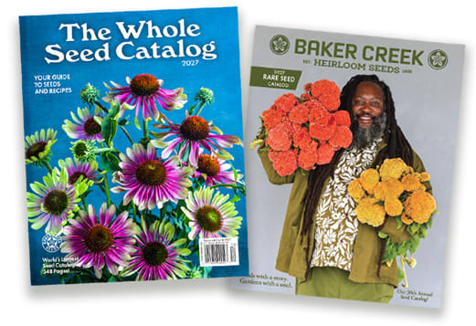 2027 Free and Whole Seed Catalog covers featuring colorful heirloom flowers