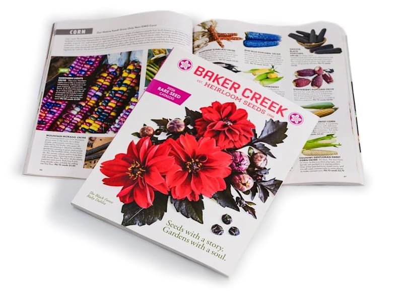 The Baker Creek free seed catalog, shown at an angle