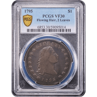 1795 Flowing Hair Dollar ($1) 2 Leaves Obverse Slab Image