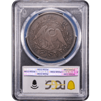 1795 Flowing Hair Dollar ($1) 2 Leaves Reverse Slab Image