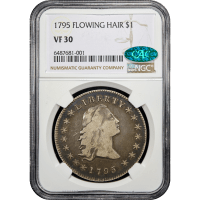 1795 Flowing Hair Dollar ($1) 3 Leaves Obverse Slab Image