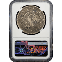 1795 Flowing Hair Dollar ($1) 3 Leaves Reverse Slab Image