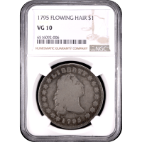 1795 Flowing Hair Dollar ($1) 3 Leaves Obverse Slab Image