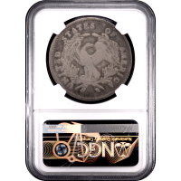1795 Flowing Hair Dollar ($1) 3 Leaves Reverse Slab Image