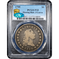 1795 Flowing Hair Dollar ($1) 3 Leaves Obverse Slab Image