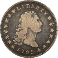 1795 Flowing Hair Dollar ($1) 3 Leaves Obverse Image