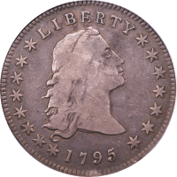 1795 Flowing Hair Dollar ($1) 3 Leaves Obverse Image