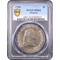 1795 Flowing Hair Dollar ($1) 3 Leaves Obverse Slab Image