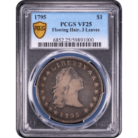 1795 Flowing Hair Dollar ($1) 3 Leaves Obverse Slab Image