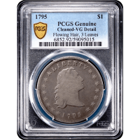 1795 Flowing Hair Dollar ($1) 3 Leaves Obverse Slab Image