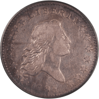 1795 Flowing Hair Half Dollar (50c) 2 Leaves Obverse Image