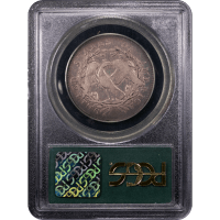 1795 Flowing Hair Half Dollar (50c) 2 Leaves Reverse Slab Image