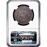 1795 Flowing Hair Half Dollar (50c) Reverse Slab Image