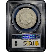 1795 Flowing Hair Half Dollar (50c) Reverse Slab Image