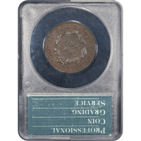 1827 Coronet Large Cent (1c) Rattler Reverse Slab Image