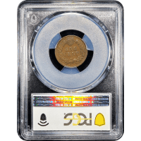 1876 Indian Cent (1c) SLAB Image