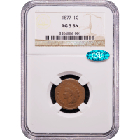 1877 Indian Cent (1c) Obverse Slab Image