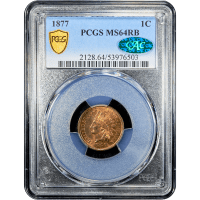 1877 Indian Cent (1c) SLAB Image