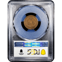 1877 Indian Cent (1c) Reverse Slab Image