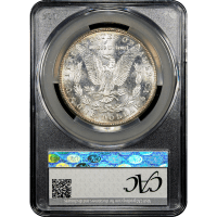 1881-S Morgan Dollar ($1) Reverse Slab Image