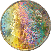 1881-S Morgan Dollar ($1) Rainbow Toner OBVERSE Image