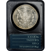 1881-S Morgan Dollar ($1) Rattler SLAB Image