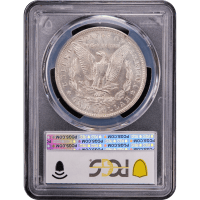 1882-O/S Morgan Dollar ($1) Strong Reverse Slab Image