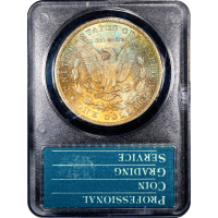 1884-O Morgan Dollar ($1) Rattler SLAB Image