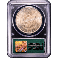 1885-O Morgan Dollar ($1) Doily Reverse Slab Image