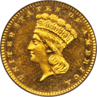 1886 Gold Dollar (G$1) OBVERSE Image