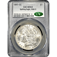 1891-CC Morgan Dollar ($1) VAM 3 Spitting Eagle Obverse Slab Image